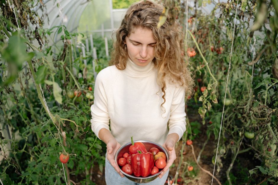 how to start vegetable gardening at home