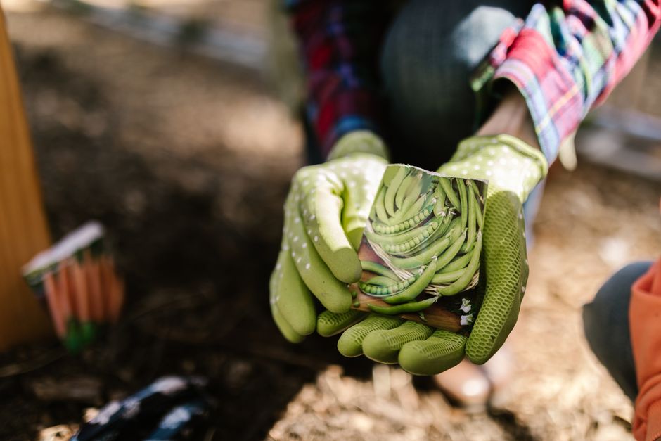how to start vegetable gardening at home