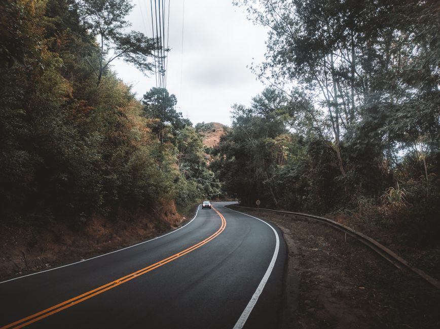 Curved mountain road surrounded by lush forest, ideal for a serene road trip adventure.