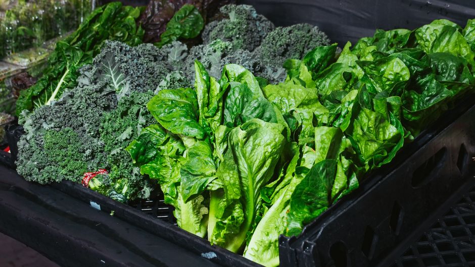 Close-up of vibrant kale and lettuce leaves on display at a market stall.
