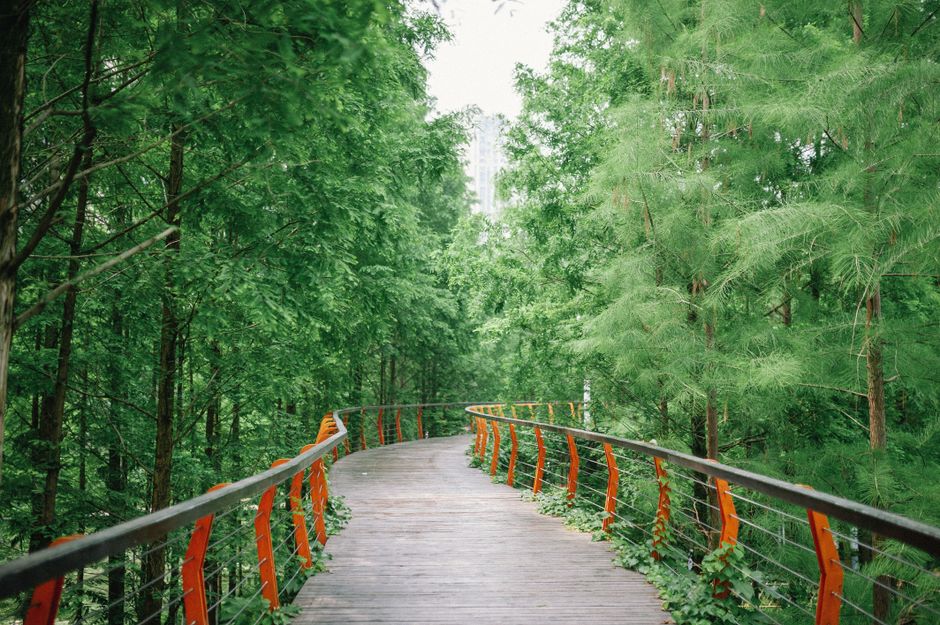 A wooden bridge winds through a vibrant green forest in Yichang, China, inviting exploration and adventure.