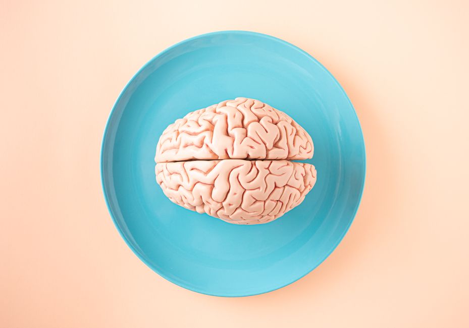 Depression A human brain model placed on a blue plate, viewed from above against a pastel background.